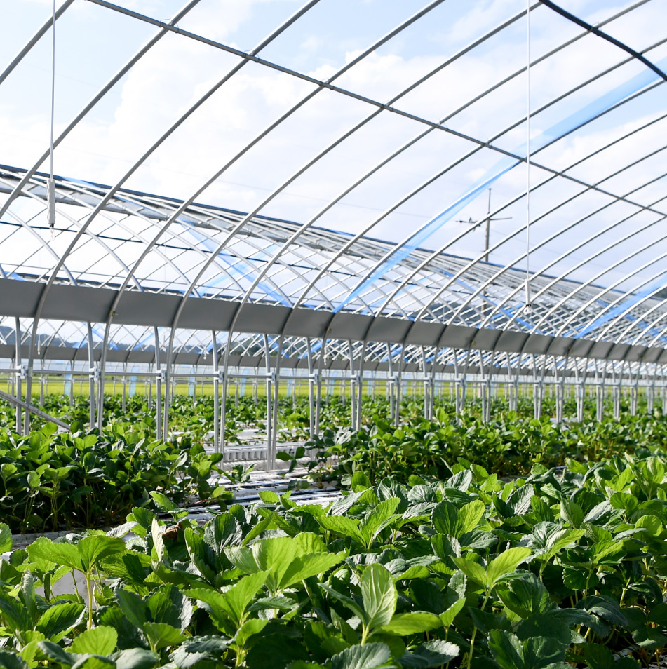 그린랩스 이미지